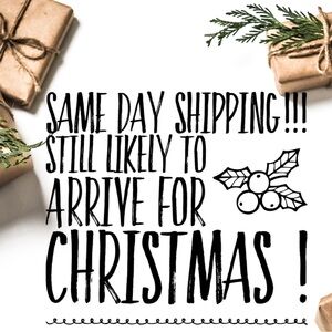 Same Day Shipping Christmas Gifts